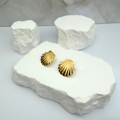 Seashell Studs