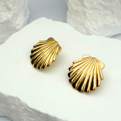 Seashell Studs